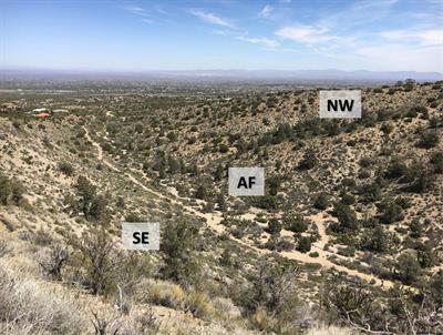 Leaf Venation and Morphology Help Explain Physiological Variation in Yucca brevifolia and Hesperoyucca whipplei Across Microhabitats in the Mojave Desert, CA